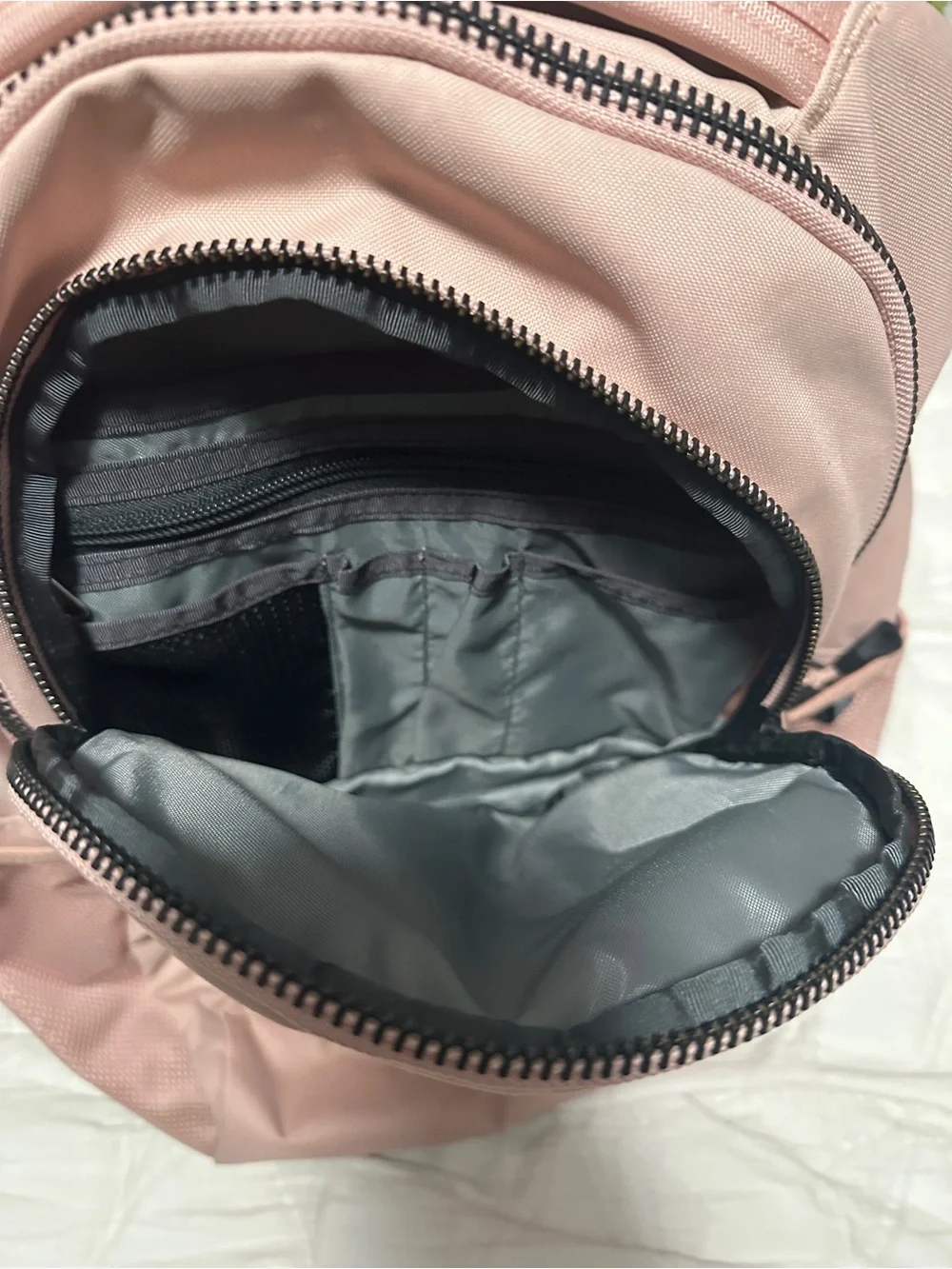 The North Face Dusty Pink Jester Backpack